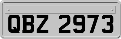 QBZ2973