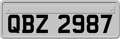 QBZ2987