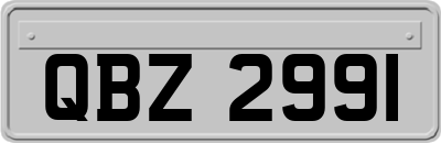 QBZ2991