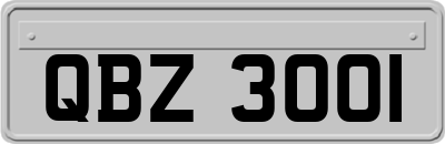 QBZ3001