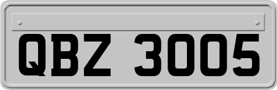 QBZ3005