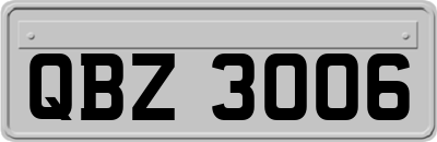 QBZ3006