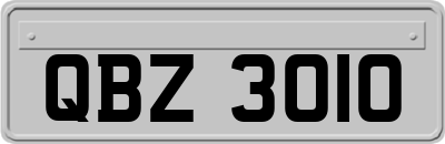 QBZ3010