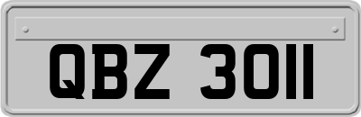 QBZ3011