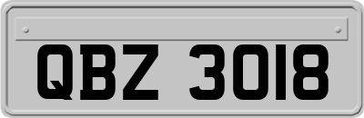 QBZ3018