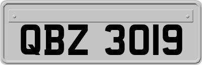 QBZ3019