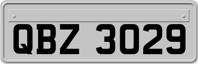 QBZ3029