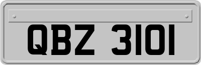 QBZ3101