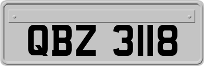 QBZ3118