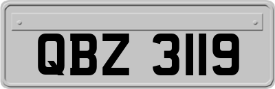 QBZ3119