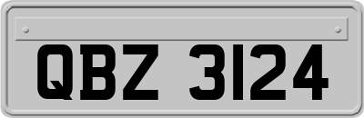 QBZ3124
