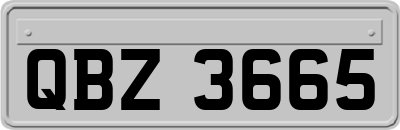QBZ3665