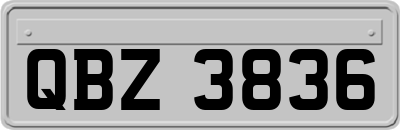 QBZ3836