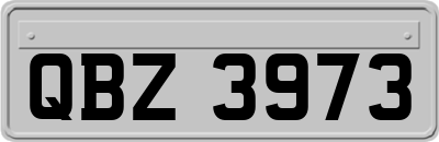 QBZ3973