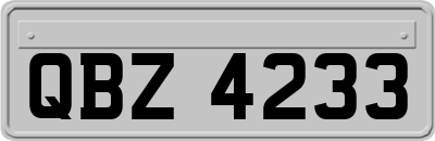 QBZ4233