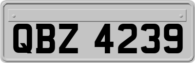 QBZ4239