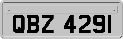 QBZ4291