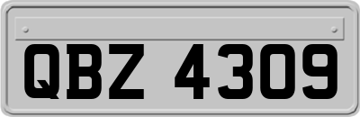 QBZ4309