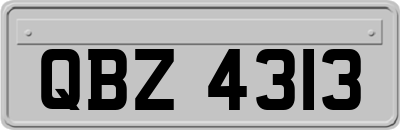QBZ4313