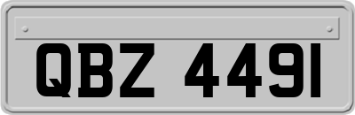 QBZ4491