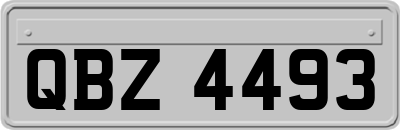 QBZ4493