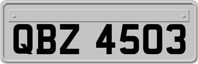 QBZ4503
