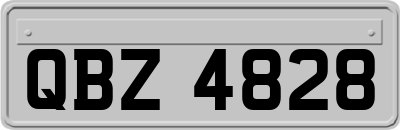 QBZ4828