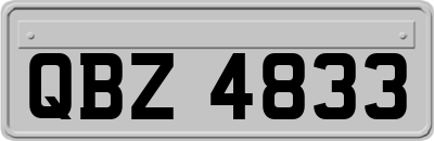 QBZ4833