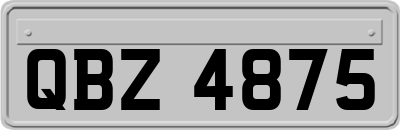 QBZ4875
