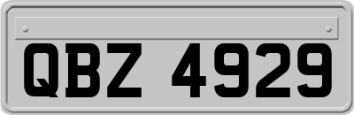 QBZ4929