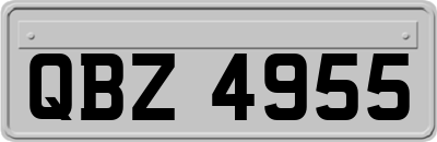 QBZ4955