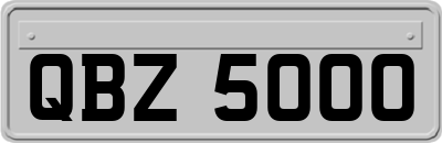 QBZ5000
