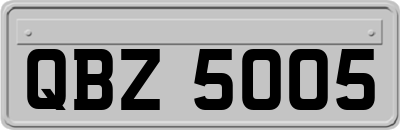 QBZ5005