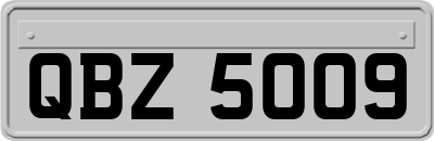 QBZ5009