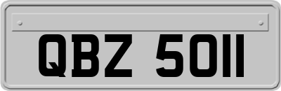 QBZ5011