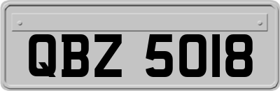 QBZ5018