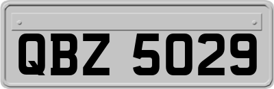 QBZ5029