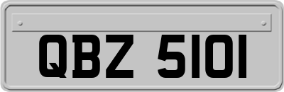 QBZ5101