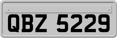 QBZ5229