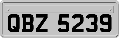 QBZ5239