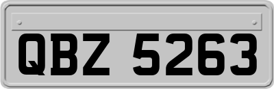 QBZ5263