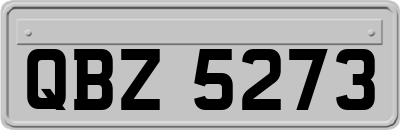 QBZ5273