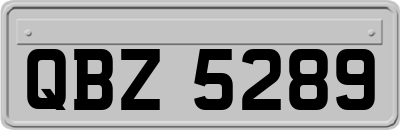 QBZ5289