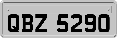 QBZ5290