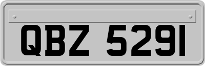 QBZ5291