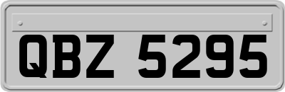 QBZ5295