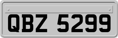 QBZ5299