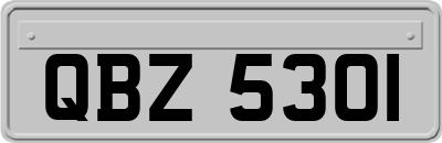 QBZ5301