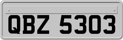 QBZ5303