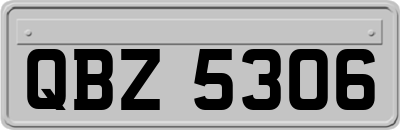 QBZ5306